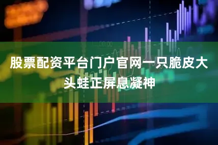 股票配资平台门户官网一只脆皮大头蛙正屏息凝神