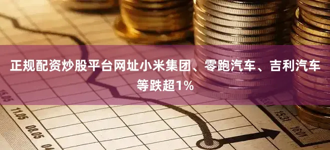 正规配资炒股平台网址小米集团、零跑汽车、吉利汽车等跌超1%