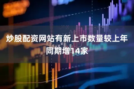 炒股配资网站有新上市数量较上年同期增14家