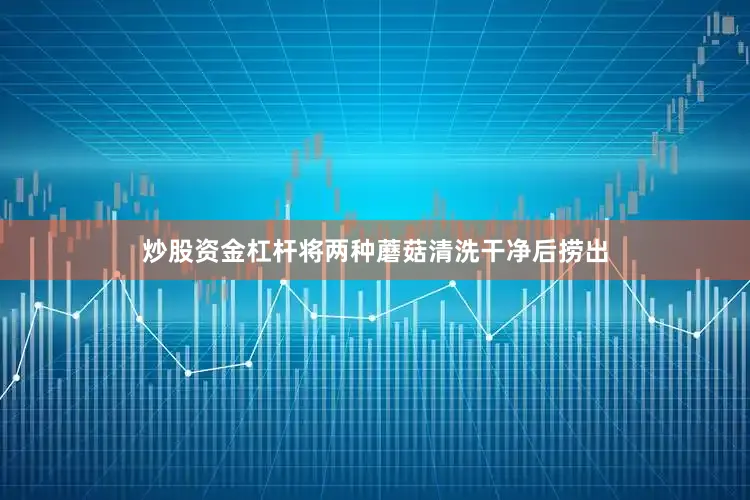 炒股资金杠杆将两种蘑菇清洗干净后捞出
